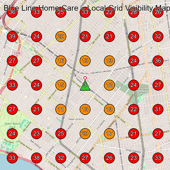 Blue Line Home Care GeoGrid visibility map for Home Health Care Service in Brooklyn